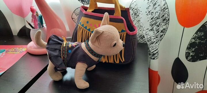 Чи чи лав в сумочке