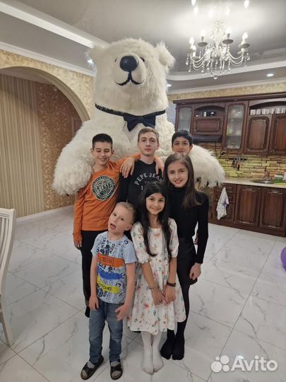 Белый мишка на поздравление «Mishki Show»