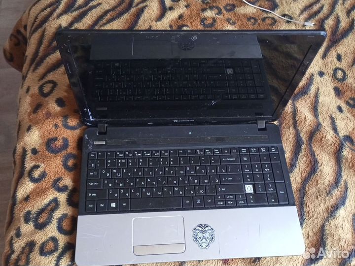 Ноутбук packard bell