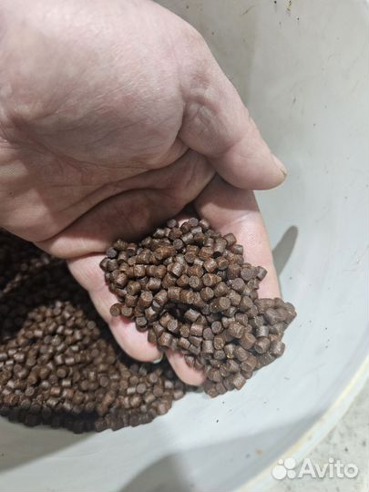 Корм для форели