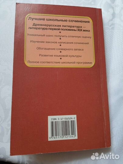 Лучшие школьные сочинения