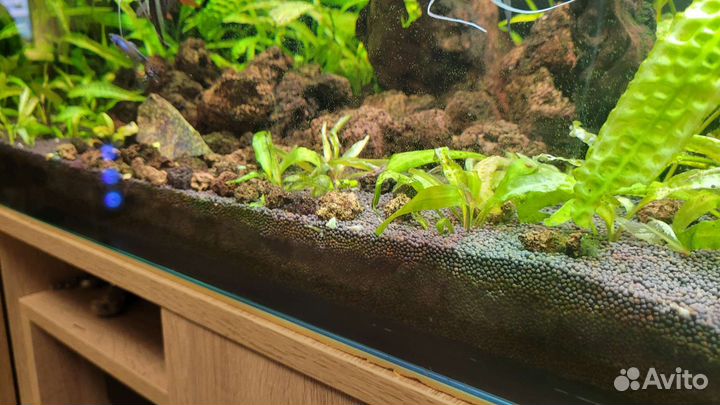 Аквариум с тумбой 220 литров