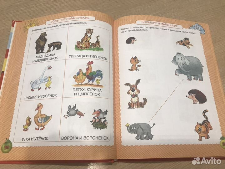 Энциклопедия для детей от 6 мес до 3х лет