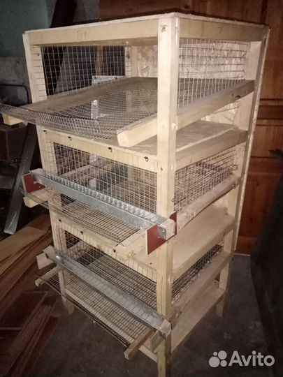 Клетка для перепелов