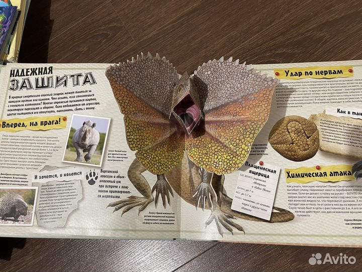 Детская книга