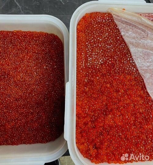 Икра кеты красная, улов 2023