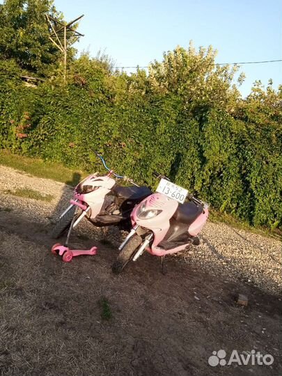 Скутер Stels Tactic