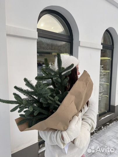 Букет из ели, елки, елок, нобилиса, зимний