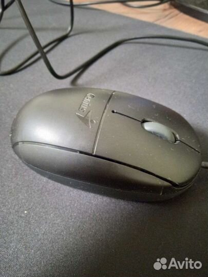 Мышь Genius NetScroll 100X