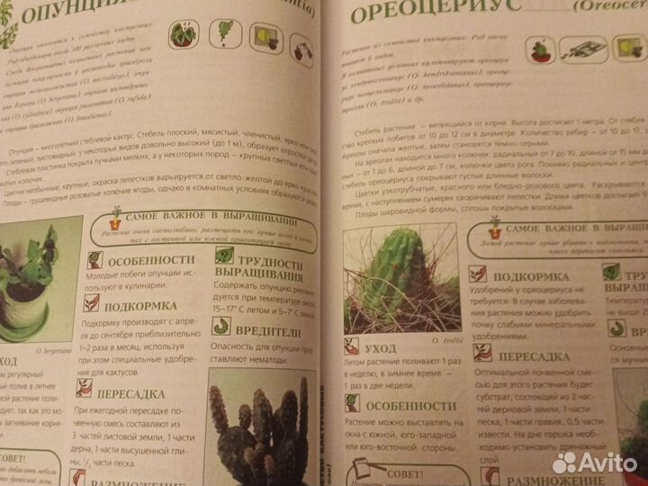 Книга энциклопедия комнатных растений