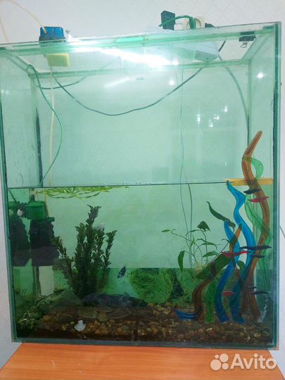 Аквариум