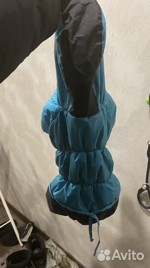 Костюм для собаки