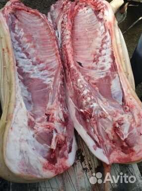Продам домашнюю свинину и мясо других с/х животных