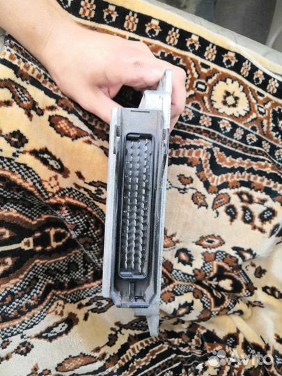 Эбу январь 5 1