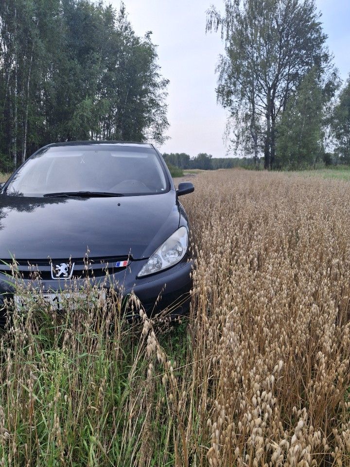 Peugeot 307