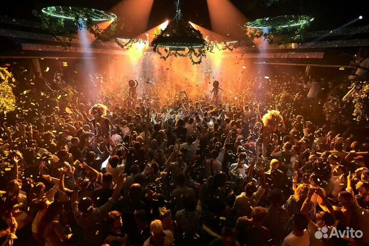 Dj диджей профессиональный на вечеринку и банкет