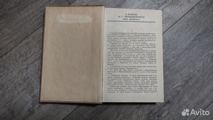 Чернышевский Н. Г. Что делать