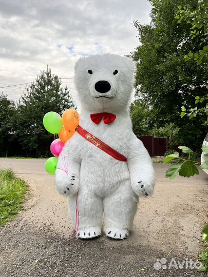 Белый Мишка поздравление