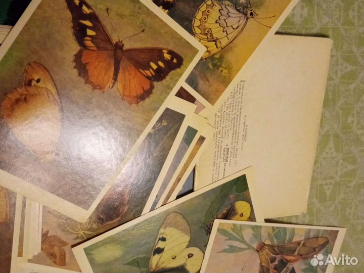 Открытки советские бабочки