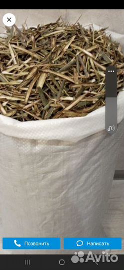 Резаная кора молодой осины сбор окт. - дек. 2024