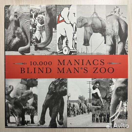 10,000 Maniacs – Blind Man's Zoo (Европа 1989г.)