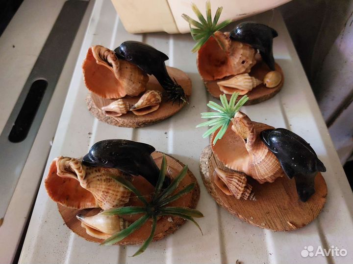 Сувениры.ракушки.рога