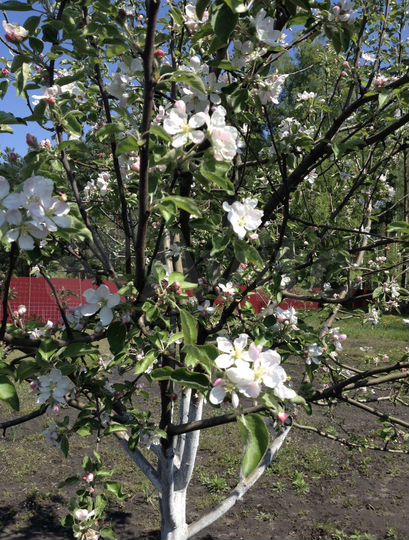 Дача 20 м² на участке 14,1 сот.