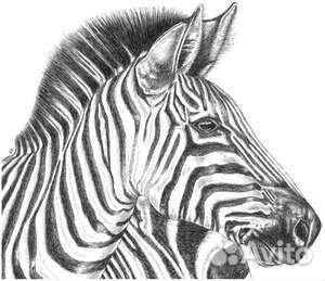 Картины Икеа 10