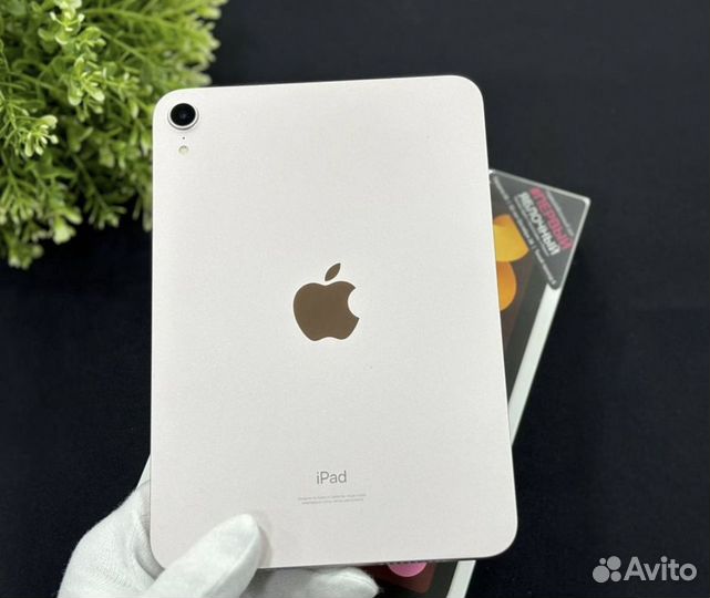 iPad mini (6th Generation) Wi-Fi Гарантия