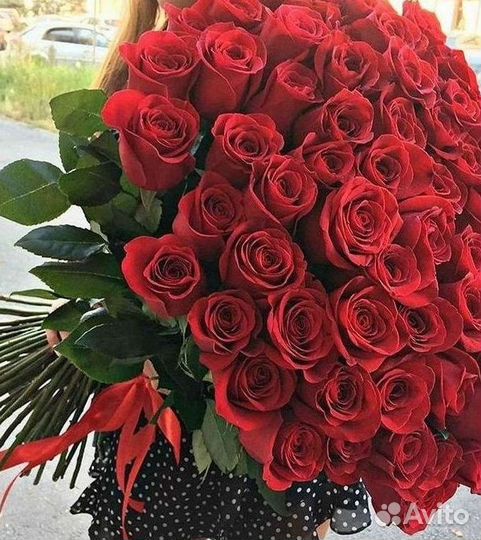 Розы Цветы Букеты 25 151 201 101 301 501 опт