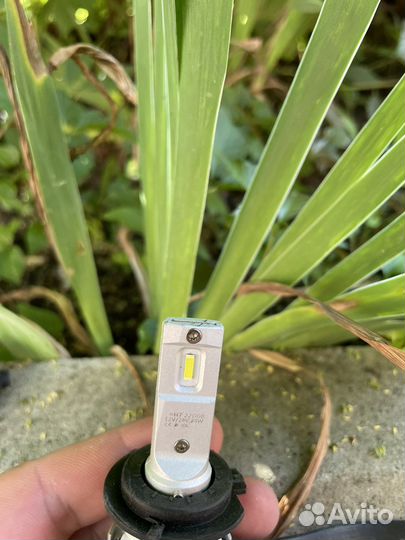 Led лампы h7 2 шт