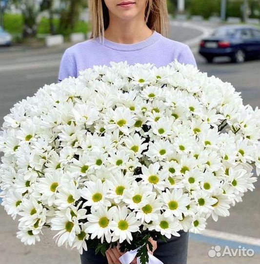 Хризантема Доставка цветов