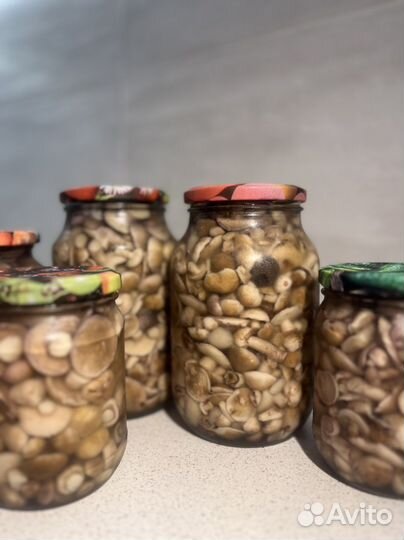 Грибы маслята маринованные