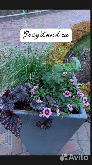 Благоустройство, озеленение