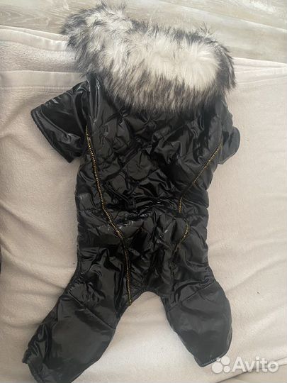 Куртка для собак