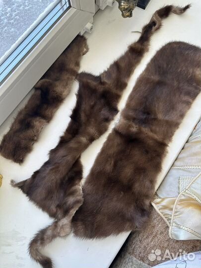 Шкурки норки