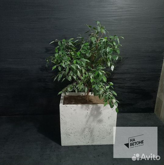 Кашпо, Вазоны, горшки для цветов