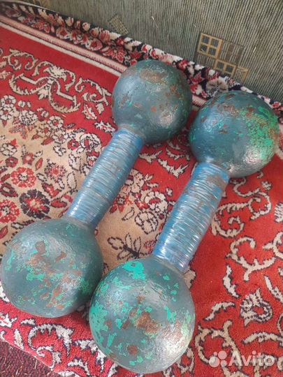 Гантели по 10 кг