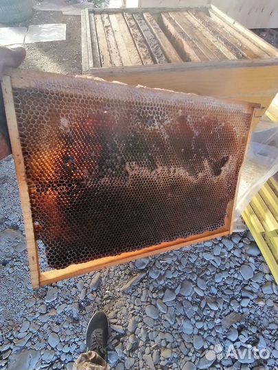 Продам сушь дадан 300 мм