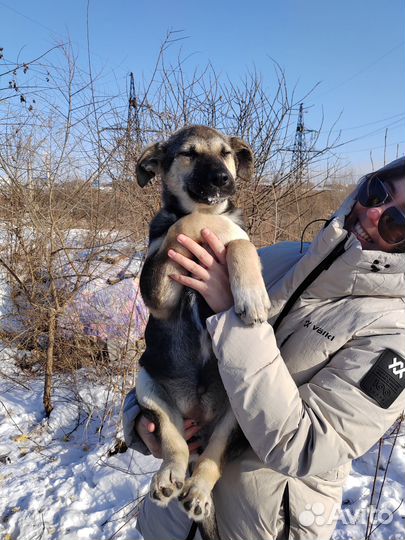 Умная девочка в поисках семьи