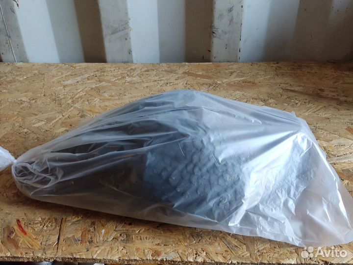 Чучела Турпан горбоносый