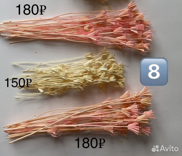 Сухоцветы и стабилизированные цветы