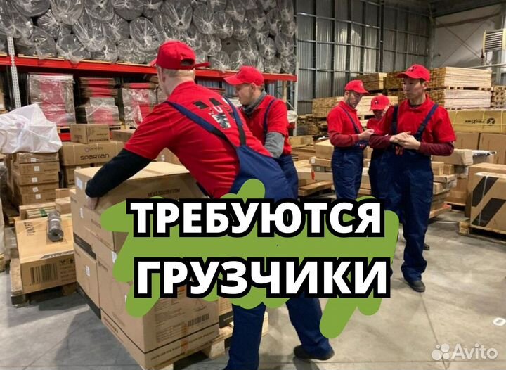 Вакансия грузчика.qi053