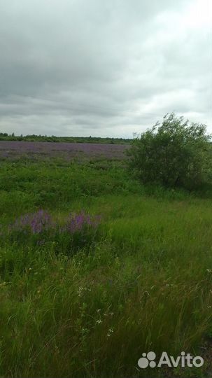 Люцерна гранулированная