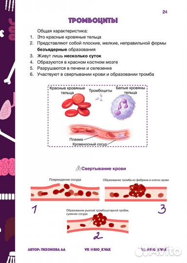 Репетитор биология ЕГЭ (пособие 