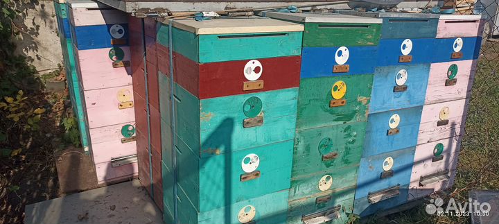 Продам ульи для пчел