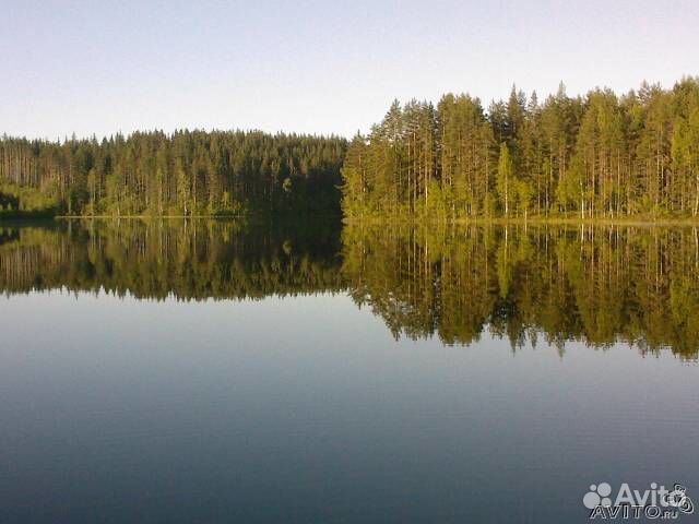 Отдых в Карелии. Рыбалка