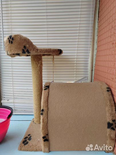 Когтеточка