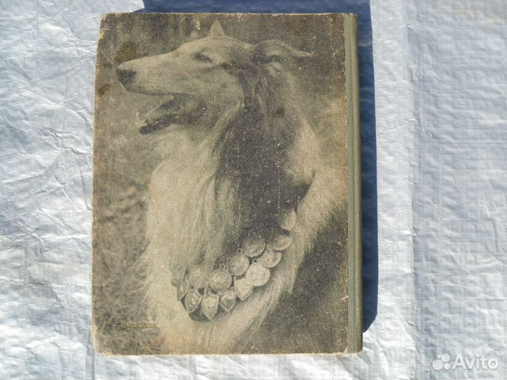 Книги по собаководству