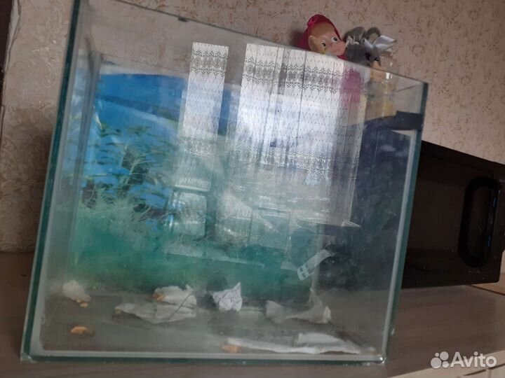 Аквариум для грызунов